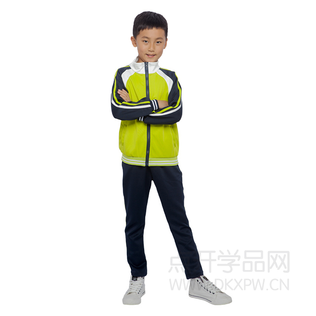 样品展示